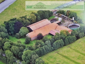 Milchviehbetrieb-Friesland-NAW-Nord-Agrar-Wirtschaftsdienste-Jens-Wilken-Ovelgoenne-2020